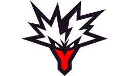 Team Yandex